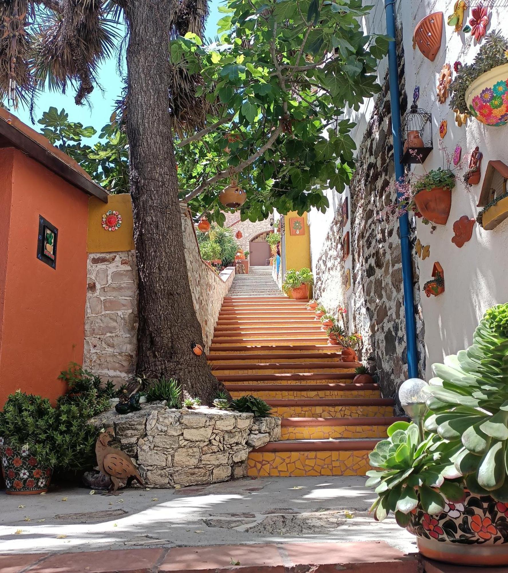 El Cantar Del Viento- Hotel Boutique Bernal Exterior photo